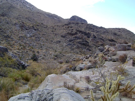 The rock ledge keeps me above the thick brush of Bull Canyon for a few minutes