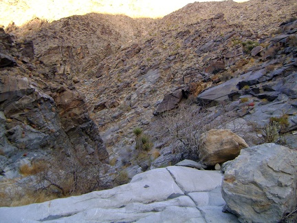 I take another detour to avoid a brushy area in Bull Canyon and now need to climb back down to the wash