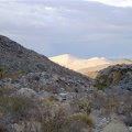 As lower Bull Canyon winds about, the "seam" of Kelso Dunes comes into view briefly, which I can also see from my camp