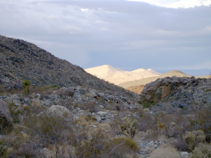 As lower Bull Canyon winds about, the &quot;seam&quot; of Kelso Dunes comes into view briefly, which I can also see from my camp