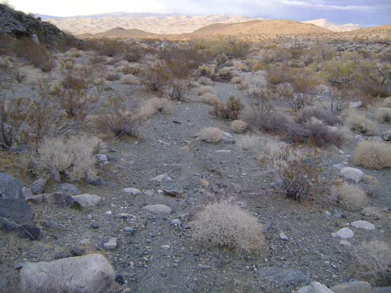 The open space at the bottom of Bull Canyon is easy to hike after all the dense brush and large rock in the upper canyon