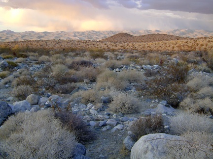 Thick clouds over the Kelso Dunes are picking up any yellow late-afternoon light that manages to get through the clouds