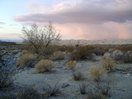 Almost back at the Kelso Dunes power-line road, with about 30 minutes of daylight left