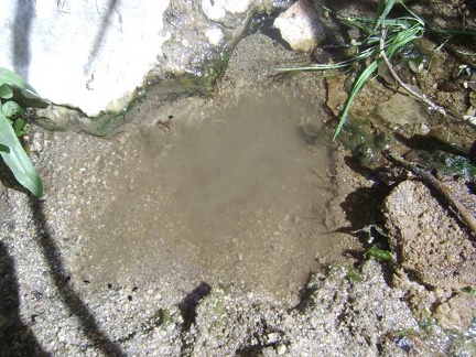 The stream is too shallow to pump water from it, so I dig a small depression to accept the intake hose of my water filter