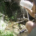 Successful taste test of the water at Cottonwood Spring, Mojave National Preserve