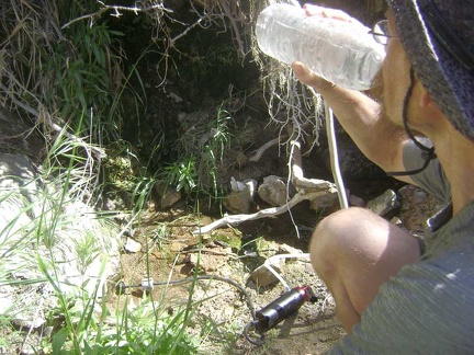 Successful taste test of the water at Cottonwood Spring, Mojave National Preserve