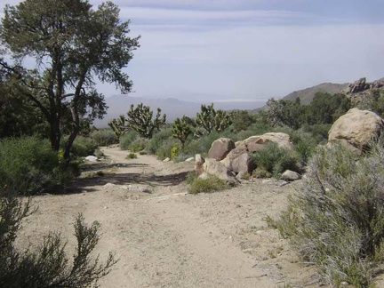 The proud deed of pumping water completed, I begin my walk back down Cottonwood Canyon and toward Butcher Knife Canyon