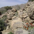I scramble over a few rocks on the way to Butcher Knife Canyon