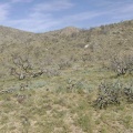 As I get closer to Butcher Knife Canyon, I note some piles of mine tailings on the hillside in the distance