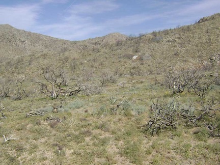 As I get closer to Butcher Knife Canyon, I note some piles of mine tailings on the hillside in the distance