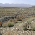 Above the piles of tailings at the Butcher Knife Mine