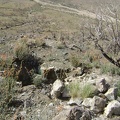 Just above the lower mine at Butcher Knife Canyon is another big hole in the ground