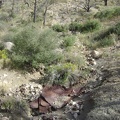 Some assorted old debris and cans are scattered near the wash