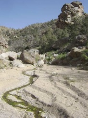 I spy a stream in Butcher Knife Canyon