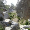 A rattlesnake startles me as I approach this big boulder along the Butcher Knife Canyon stream