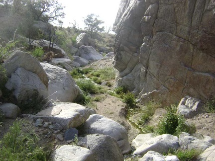 A rattlesnake startles me as I approach this big boulder along the Butcher Knife Canyon stream