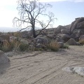 The excitement of the rattlesnake incident behind me, I return my focus to the hike away from Butcher Knife Canyon