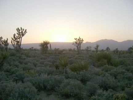 I'm hiking briskly cross-country in the hope of crossing before dark the Cottonwood Canyon Road that will lead me to my tent