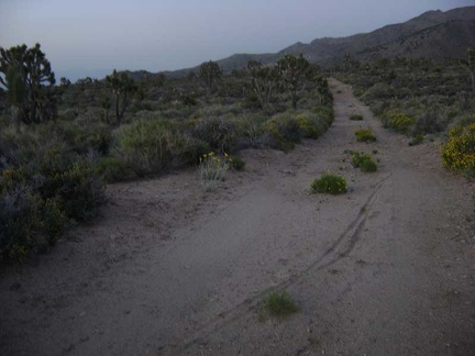 After almost an hour of cross-country, I cross the old road at dusk and realize that I've overshot my campsite by about a mile