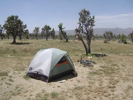 This campsite is actually two miles down the wash from Butcher Knife Canyon, not in the canyon itself