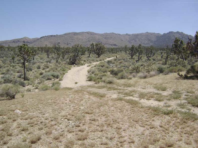 09228-cottonwood-canyon-road-800px.jpg