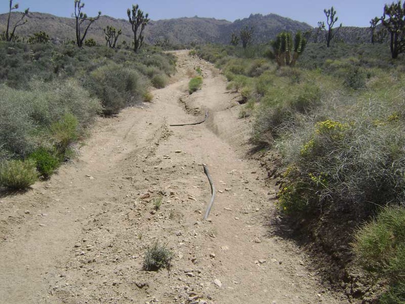 Erosion on the old road to Cottonwood Canyon has exposed some old rubber piping that had been buried under the road