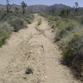 Erosion on the old road to Cottonwood Canyon has exposed some old rubber piping that had been buried under the road