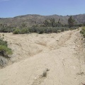 A mile north of my campsite is "the fork" in the road to Cottonwood Canyon and Butcher Knife Canyon