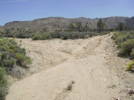 A mile north of my campsite is "the fork" in the road to Cottonwood Canyon and Butcher Knife Canyon