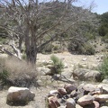 A pull-out on the road to Cottonwood Canyon reveals a nice camping area complete with a fire ring