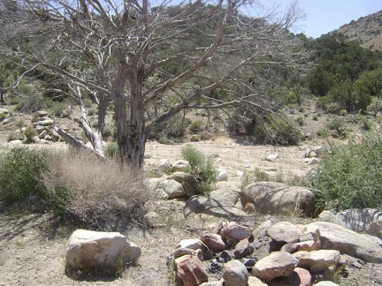A pull-out on the road to Cottonwood Canyon reveals a nice camping area complete with a fire ring