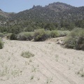 After exploring the campsite area, I return to the main road toward Cottonwood Canyon