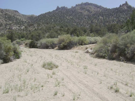 After exploring the campsite area, I return to the main road toward Cottonwood Canyon