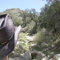 Here I am starting up Cottonwood Canyon at the base of the New York Mountains, Mojave National Preserve