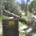 I reach an old wooden box which houses a camera that takes photos of wildlife