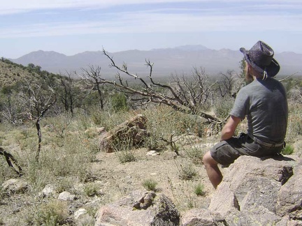 There doesn't seem to be more water to discover in Cottonwood Canyon, so I climb up a small hill for a break with nice views