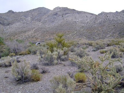 One last look at the Pachalka Spring campsite at about 4875 feet before dismantling the tent