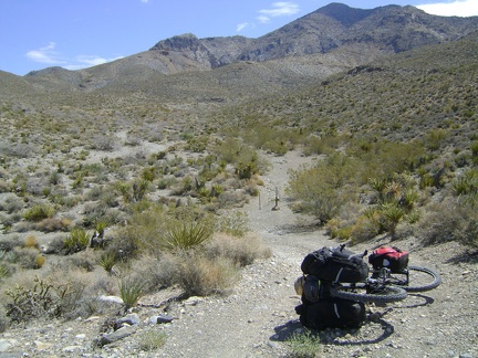 At the bottom of the hill (about 4500 feet), Pachalka Spring Road turns left at the Wilderness barriers and heads down the wash