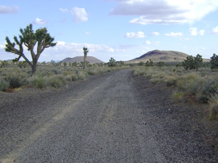 Volcanic ash is scattered around here and I can see the cinder cones that I'm used to seeing when riding up Kelbaker Road