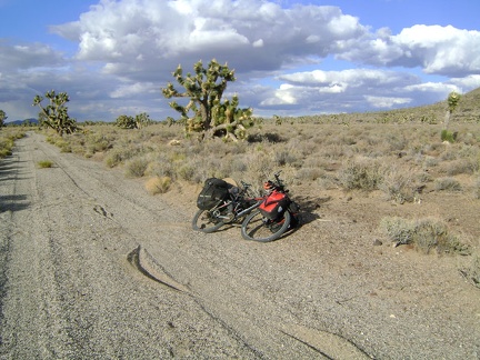 Not wanting to descend any further toward the cinder cones, I make a sharp left on a second road to Button Mountain