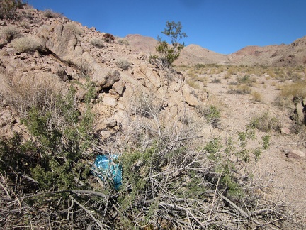 As I hike up the canyon into the Cady Mountains, I come across a balloon stuck in the brush