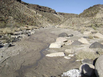 Another trickle of water