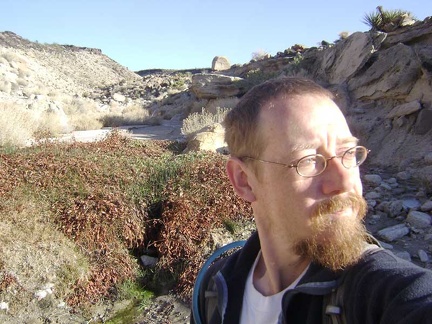 I think I'm at Cane Spring, but maybe not; Cane Spring might be over in the next wash