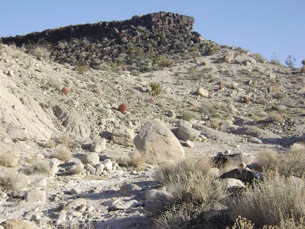 The tip of one of the old lava flows lies a short distance ahead