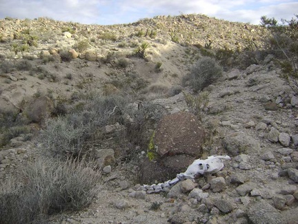I start walking up the low ridge to the west of me to get an overview of the area