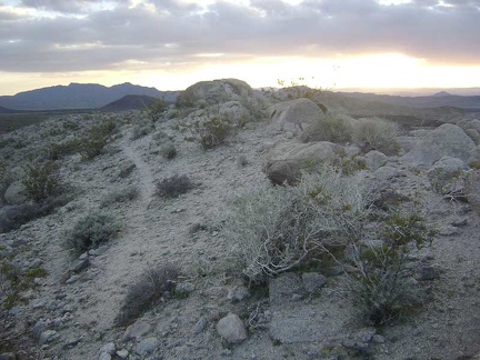 This must be an animal trail along the ridge