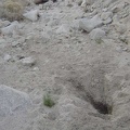 A big hole dug by an animal in a quest for water