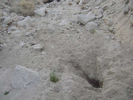 A big hole dug by an animal in a quest for water