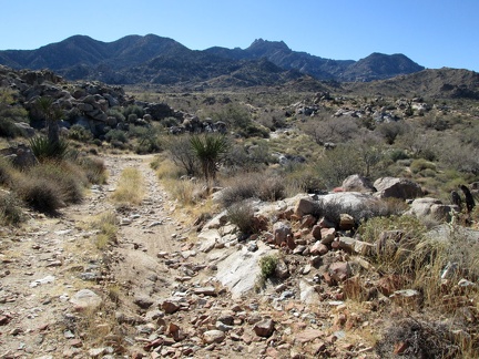 The old road here that serves as part of today's hiking route rolls up and down, and is rocky in places
