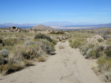 Nice views down to Ivanpah Valley behind me as I hike up the old road